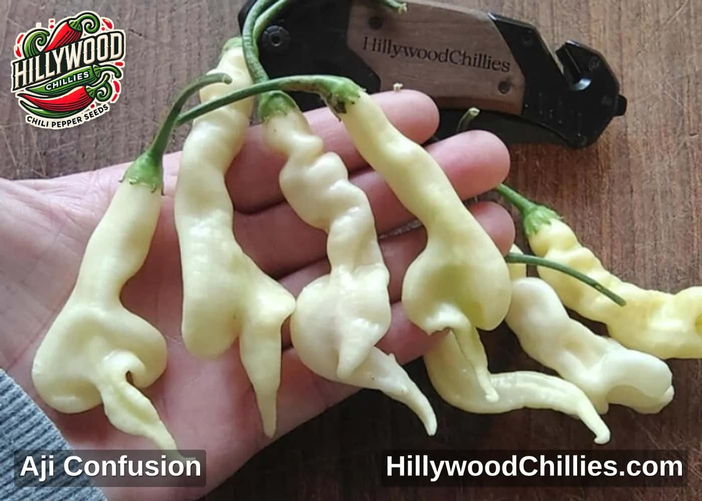 Aji Confusion