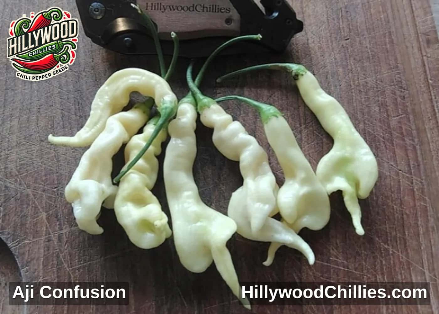 Aji Confusion