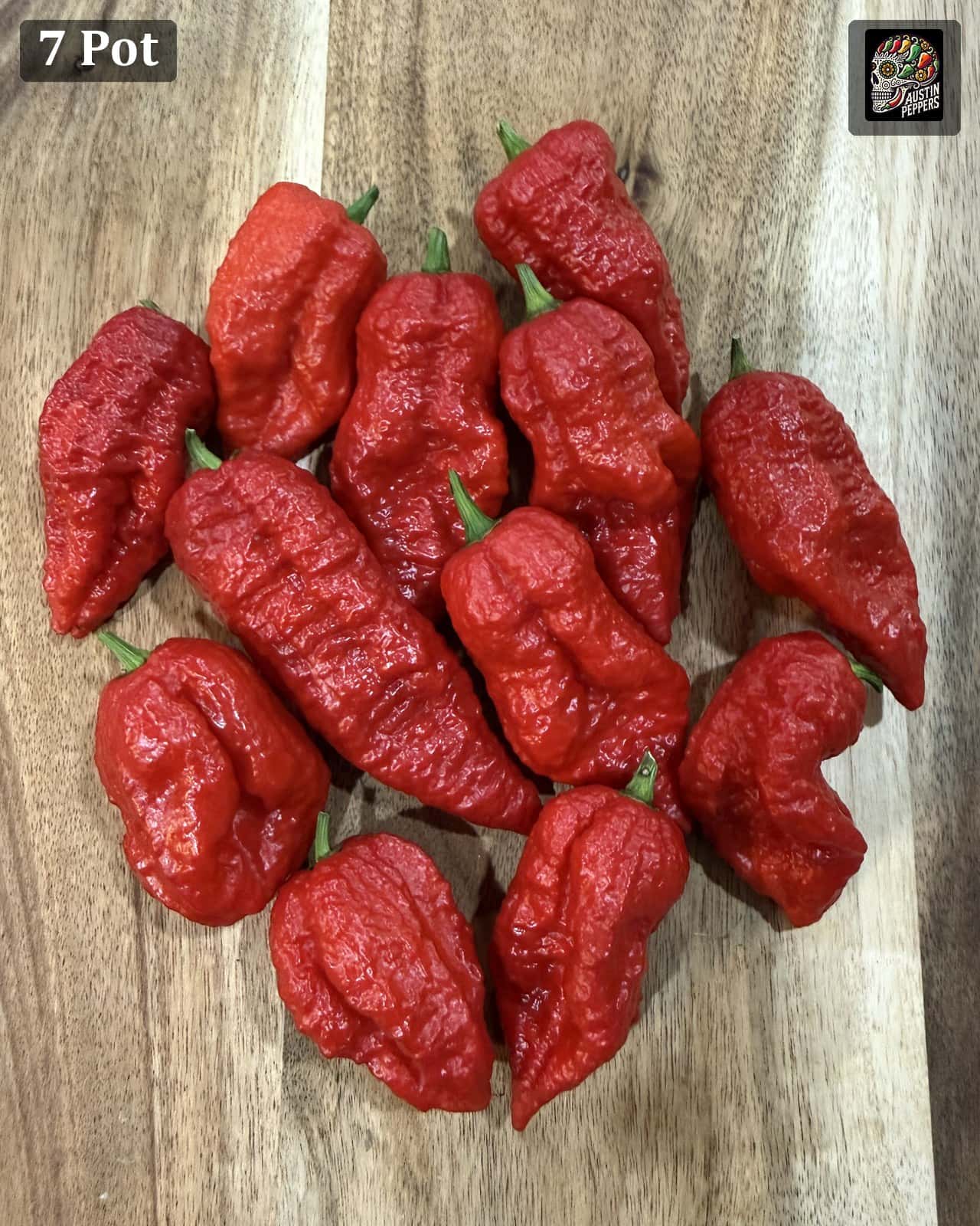 7 Pot