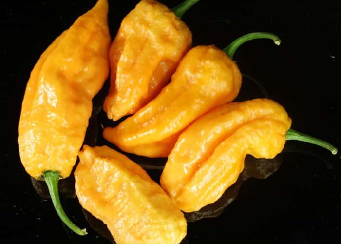Peach Ghost Pepper