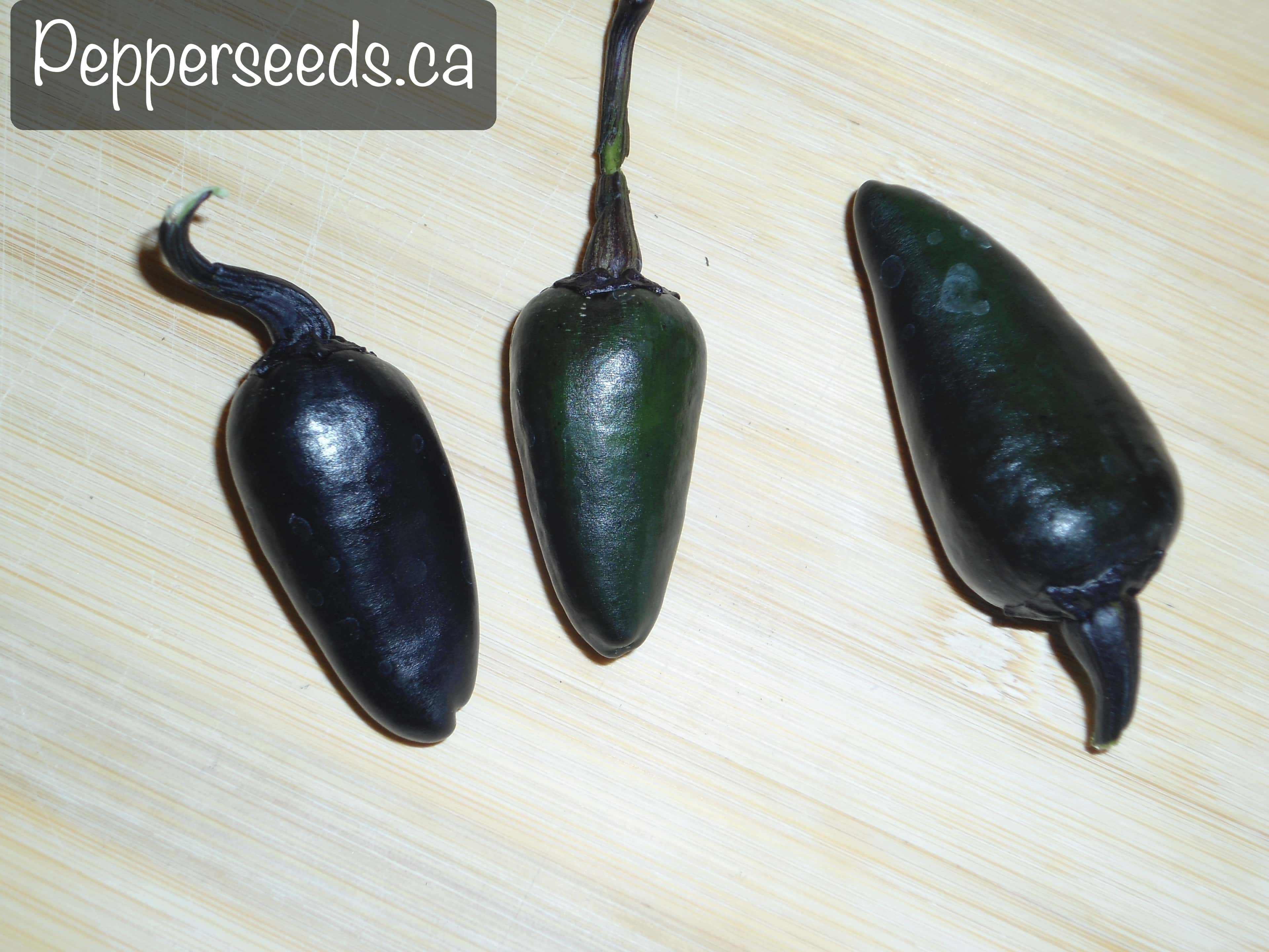 Black Jalapeño