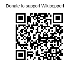 Donate to supp-qrcode (3)